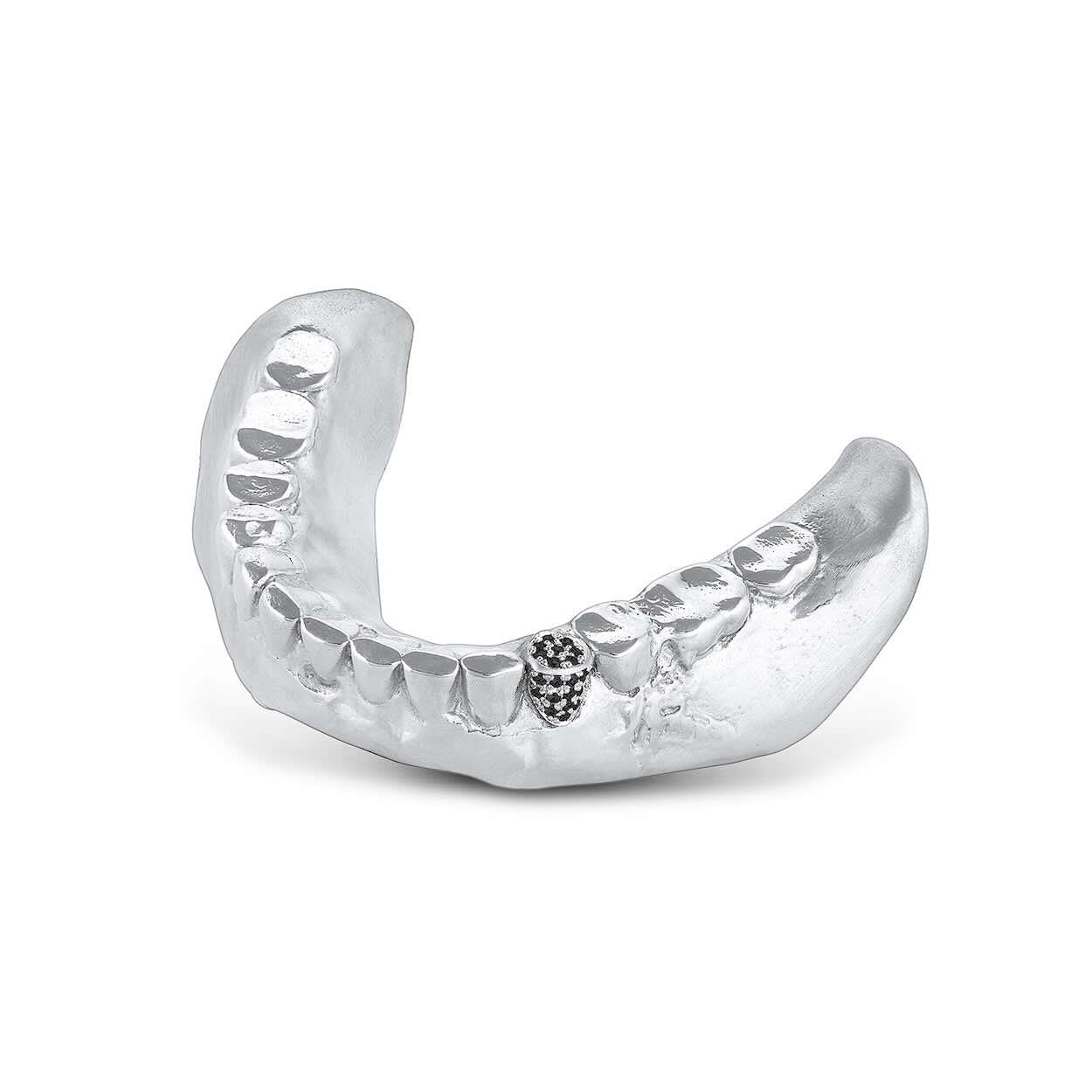 Denture Paperweight – EMBLM Fine Jewelry