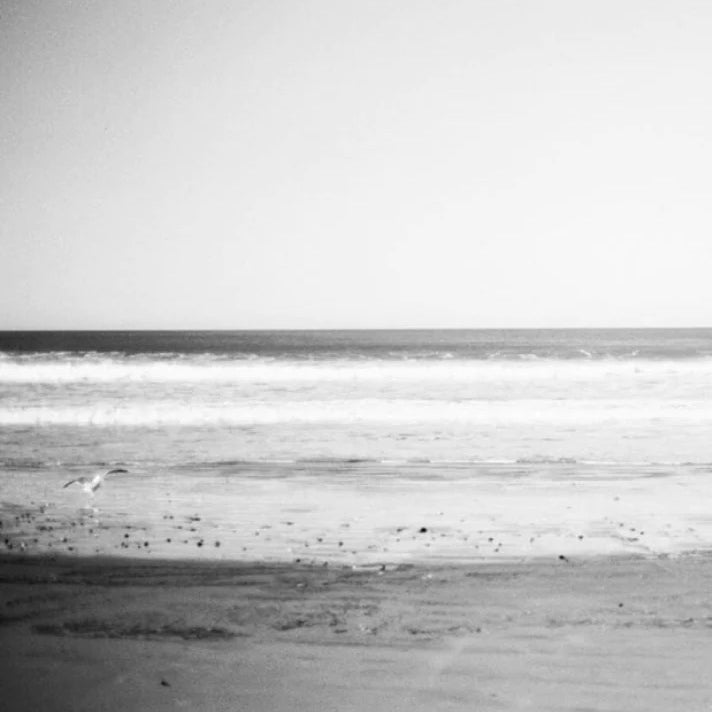 film photo of a beach in black and white